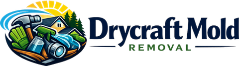 Drycraft Mold Removal